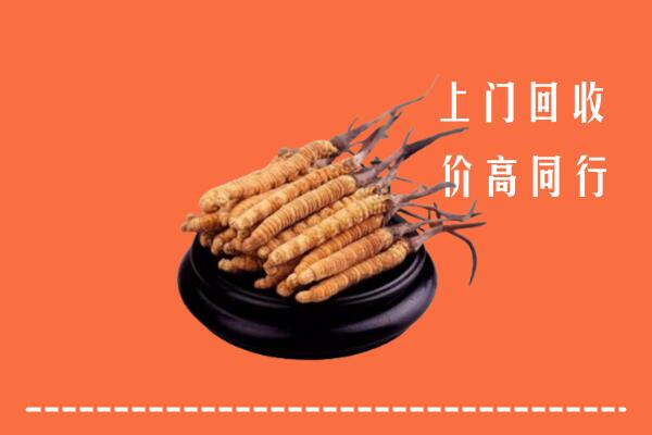 高价求购：双牌县回收散虫草