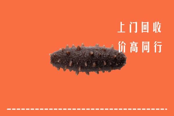 高价求购：双牌县回收海参