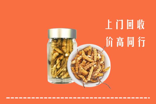 双牌县回收冬虫夏草